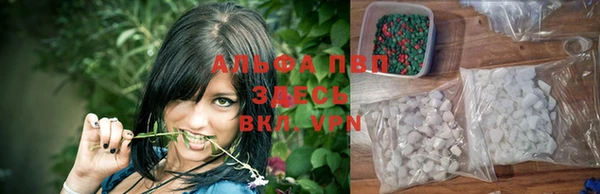 твердый Алексеевка