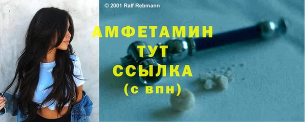 амф Арсеньев