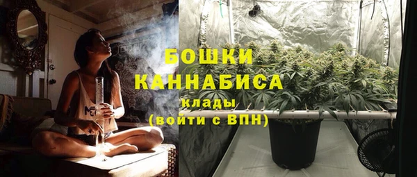 амф Арсеньев