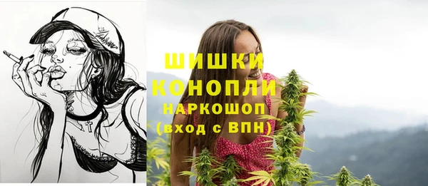 амф Арсеньев