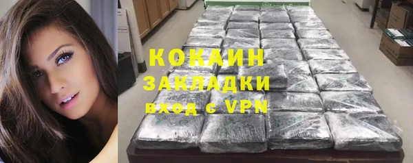 твердый Алексеевка